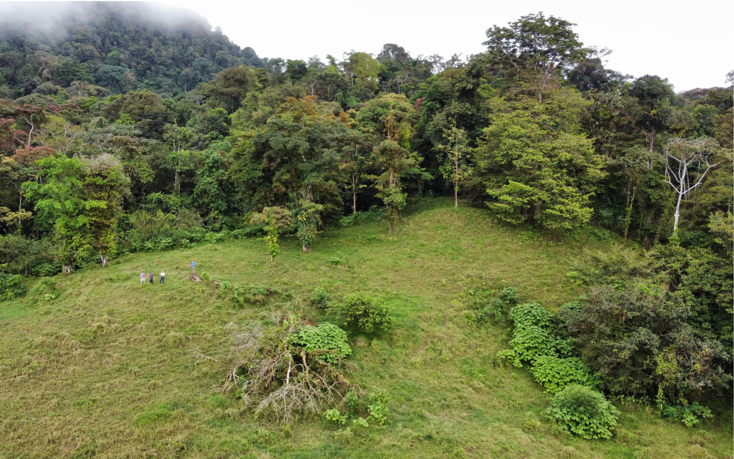 Finca Las Margaritas